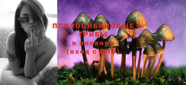 кокс Новозыбков