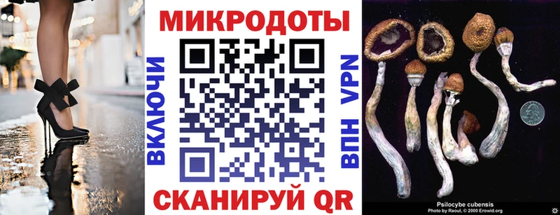 Галлюциногенные грибы мицелий  Навашино 